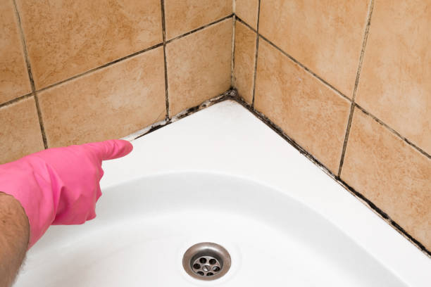 Best Residential Mold Removal  in Lake Brownwood, TX